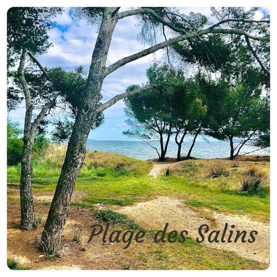 Studio Port D'Hyeres Vue Mer Et Iles De Porquerolles Et Port-Cros Exterior foto